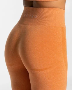 New Evolution V2 Leggings